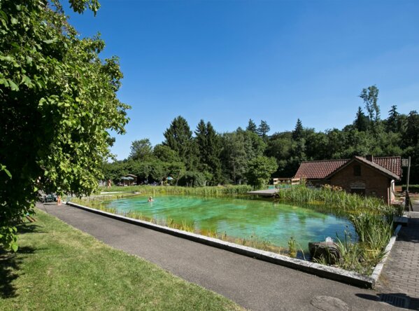 Schwimmteich auf dem Gelände Degerloch